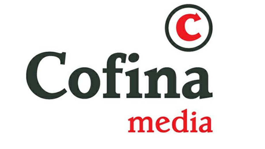 almina logo cores